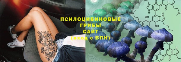 бутират Магас