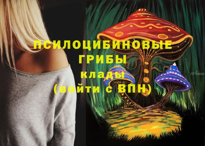 Псилоцибиновые грибы Cubensis  Козельск 