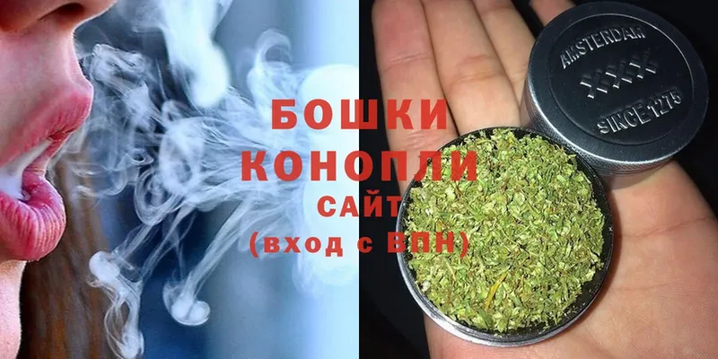 Бошки марихуана THC 21%  Козельск 